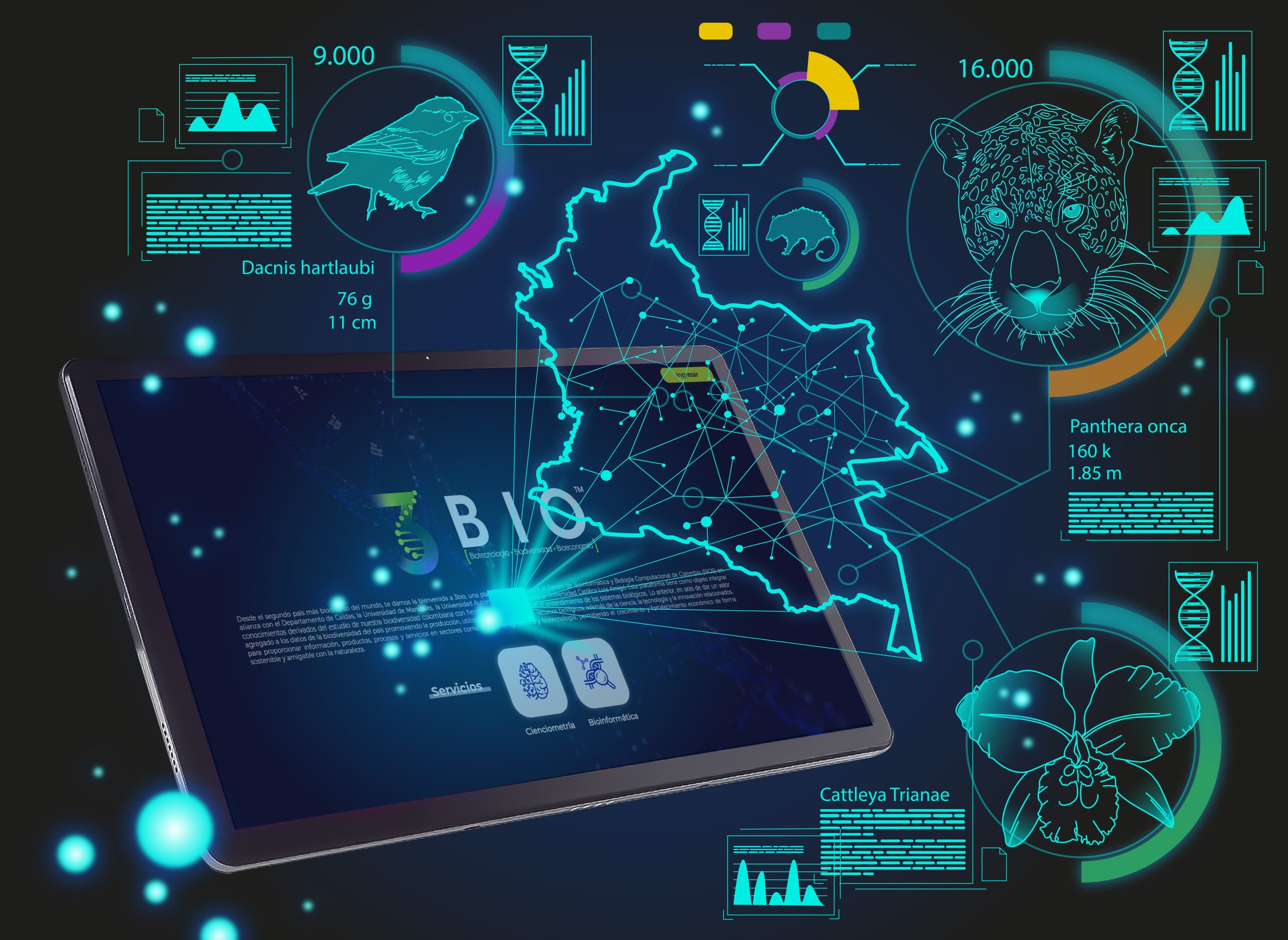 3BIO: La plataforma que reúne la información de biodiversidad colombiana en un solo lugar