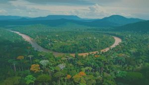 Lo que crece en la selva: saberes que resisten en la Perla Amazónica