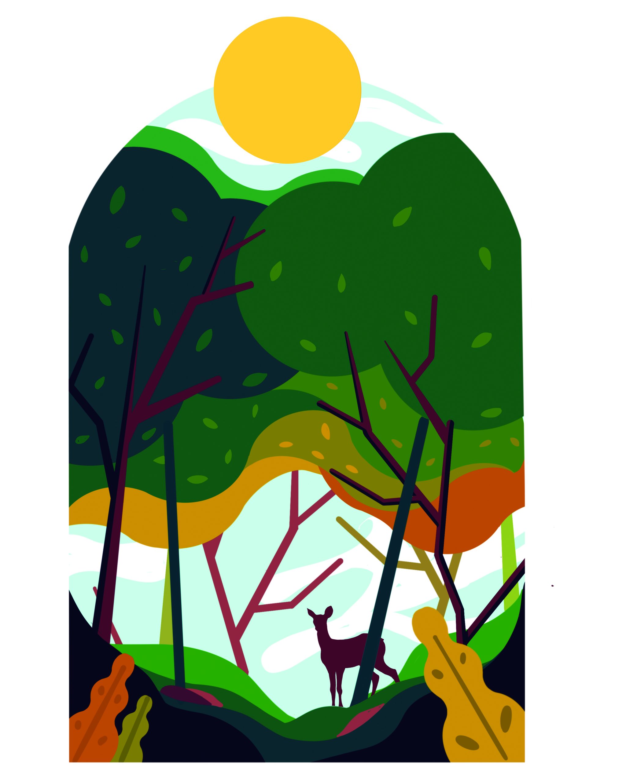 ¿Cuánto cuesta salvar un bosque?