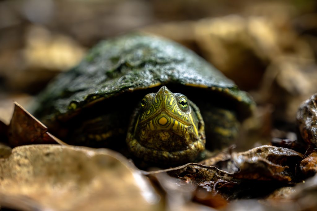 Foto por Alejandro Jiménez