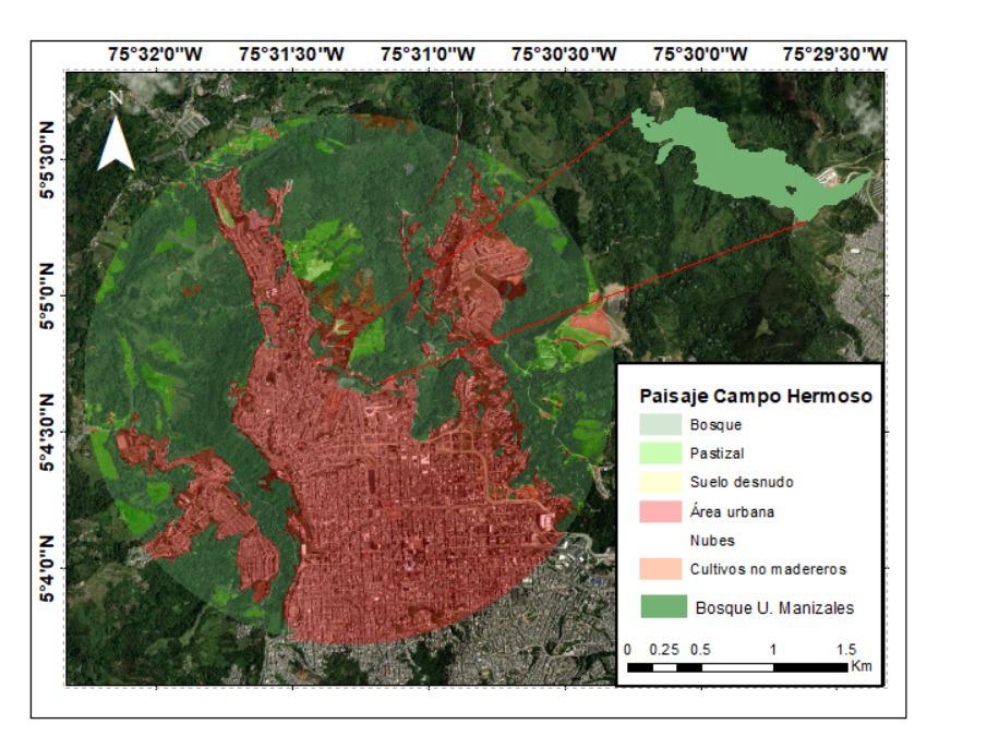 : El sendero ecológico de la Universidad de Manizales es su segunda casa. Entre guayabos, moquillos y yarumos negros, Sebastián ha seguido por años los pasos silenciosos de los monos nocturnos. Allí, donde se cruzan los sonidos del bosque y la ciudad, la ciencia y la paciencia caminan juntas