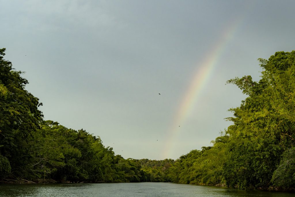 Río abajo las montañas desbordan la orilla y pintan los bosques en el horizonte algunas aves surcan los cielos. Foto Alejandro Jiménez.