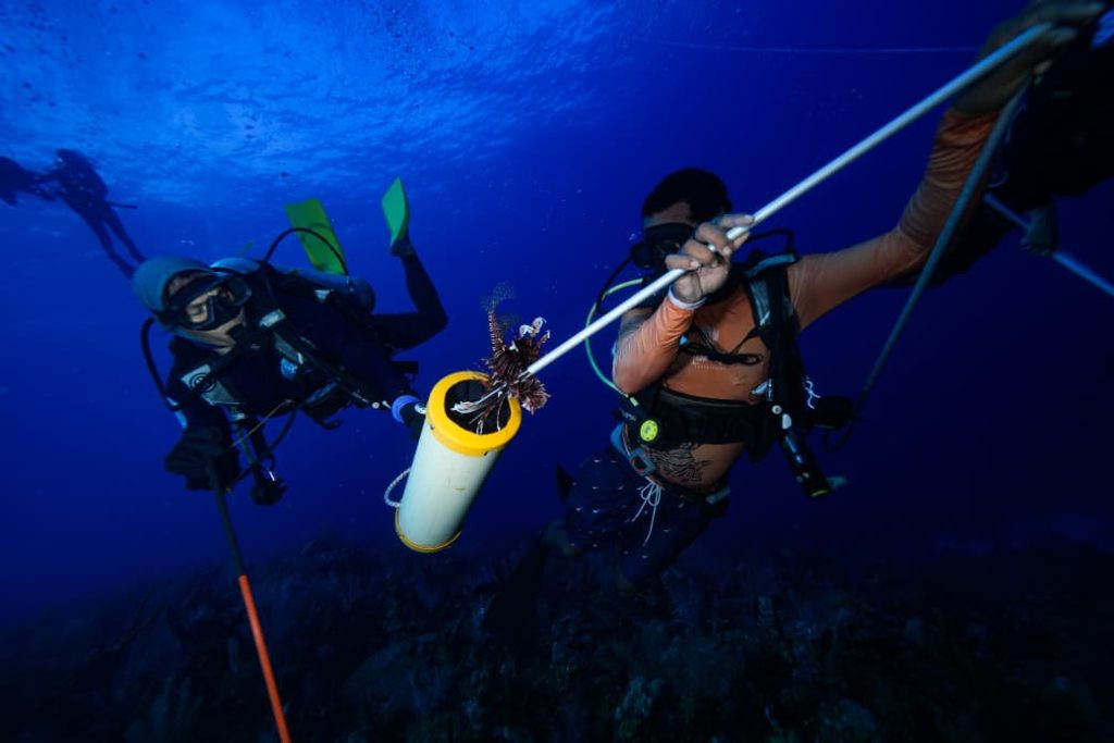 Cortesía Sea Flower Wise. La Reserva de la Biósfera SeaFlower abarca 180.000 km², equivalentes a 315 veces el área de Manizales. Reconocida por la UNESCO, alberga la tercera barrera coralina más extensa del planeta y más del 75% de los arrecifes someros de Colombia