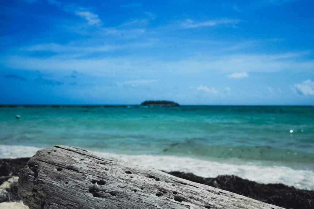 Cortesía Sea Flower Wise. Durante la Expedición Científica Seaflower Wise 2025, 80 expedicionarios y 45 instituciones realizaron más de 400 inmersiones para estudiar la biodiversidad marina. Cada muestra de esponja recolectada se analiza con precisión para identificar compuestos que podrían transformarse en bioproductos