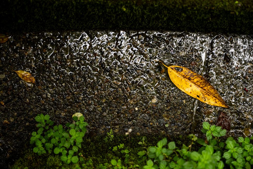 No todo es equilibrio. La presencia de residuos, aguas intervenidas y expansión urbana revela una tensión constante. Estos factores incrementan los niveles de presión sobre el ecosistema, especialmente en zonas con alta vulnerabilidad geotécnica, identificadas en más del 30 % del territorio analizado.