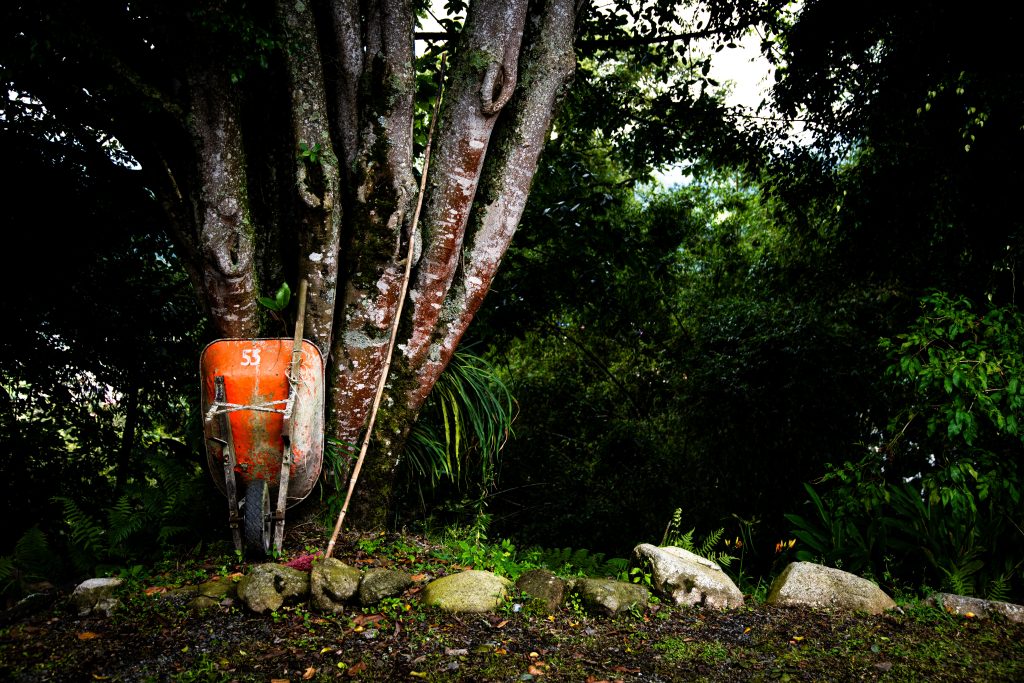 Este territorio funciona como un laboratorio natural donde se han aplicado metodologías como análisis multicriterio y valoración contingente, en investigaciones lideradas por Luis Alberto Vargas Marín, para medir el valor ecológico y económico de los servicios ecosistémicos.
