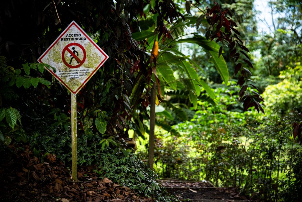 Aquí se construye conciencia de cuidado y conservación. Los estudios evidencian que los servicios ecosistémicos impactan directamente a toda la comunidad universitaria, al incidir en la calidad ambiental, el bienestar y la formación de una cultura sostenible.