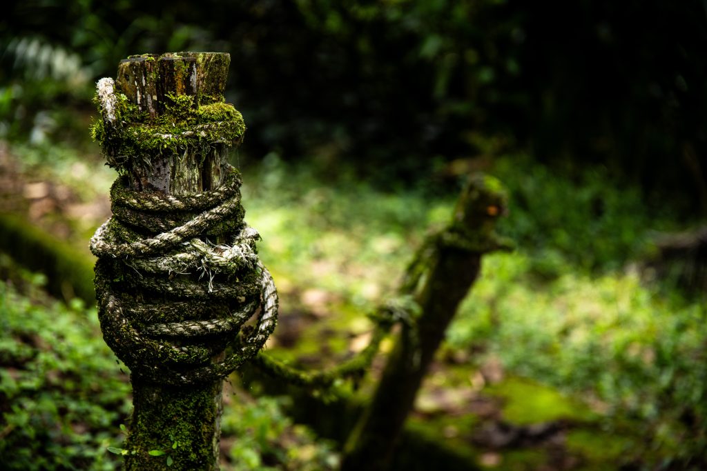 Lo que vemos es apenas una capa. El paisaje también es memoria y construcción cultural. Los estudios de servicios ecosistémicos señalan que estos sistemas integran valores de uso directo, indirecto y de existencia, difíciles de cuantificar, pero fundamentales en la comprensión integral del territorio.