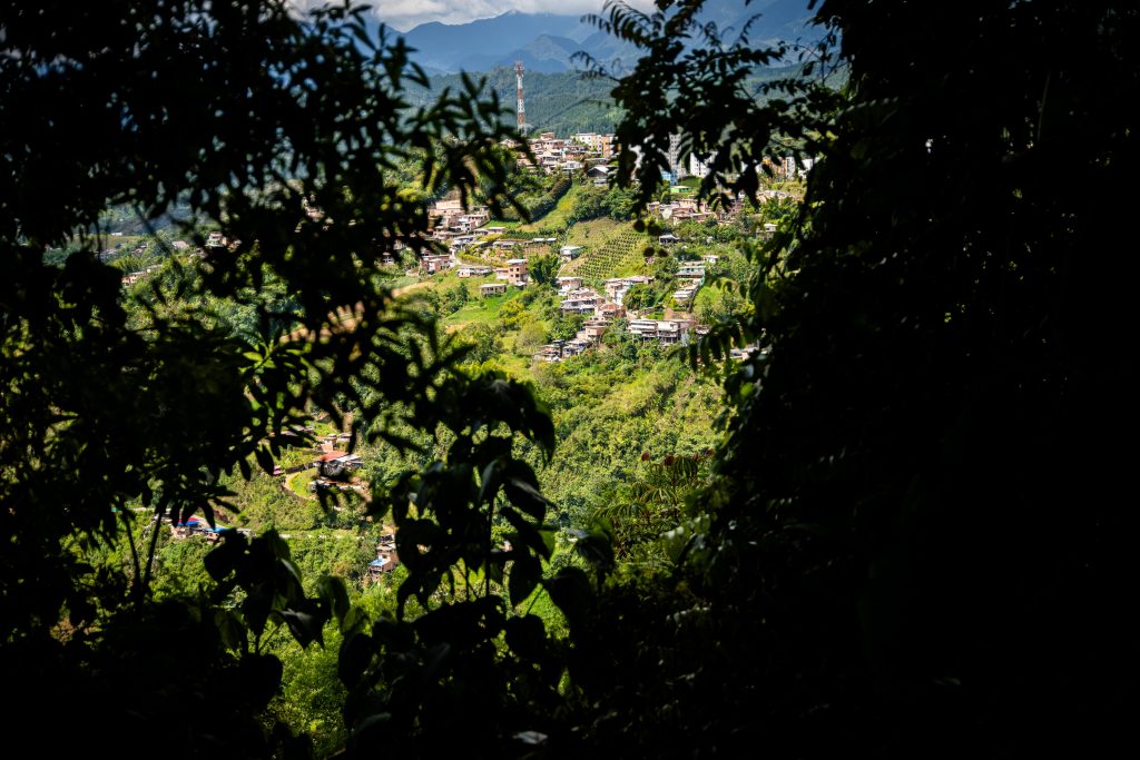 Foto por Alejandro Jiménez